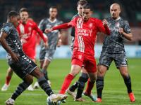 德甲斯图加特对多特-球速体育