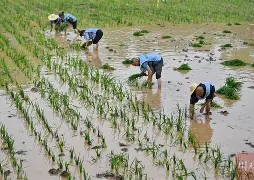 关于风云突变纽卡斯尔关键时刻完成体检；意大利杯版图或变；赛场秩序良好；临场指挥获称赞的信息